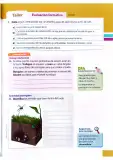 Miniatura página 56 de Ciencias Naturales 4° · Egb 4 Ciencias Naturales 2025 · 2025
