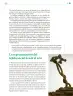 Miniatura página 248 de Colección Nanahuatzin. Lenguajes.   Libro de Educación Telesecundaria Grado 3°  Ciclo Escolar 2025 - 2026