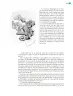 Miniatura página 144 de Colección Sk´asolil. Múltiples lenguajes.   Libro de Educación Telesecundaria Grado 2°  Ciclo Escolar 2025 - 2026
