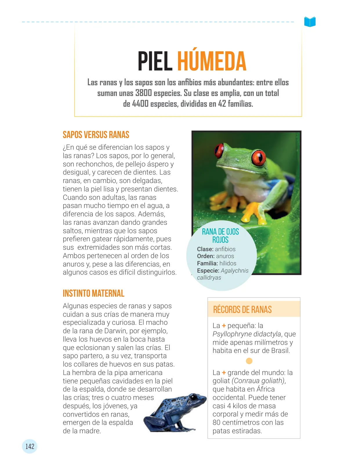 Miniatura página 144 de Comunicación 4 : cuaderno de trabajo para cuarto grado de Educación Primaria 2019 · 2019