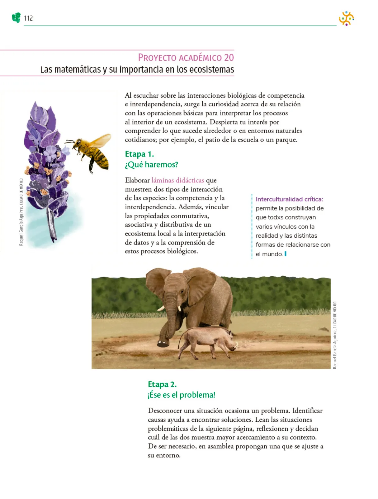 Miniatura página 113 de Colección Ximhai. Nuestro libro de Proyectos.  Tomo II.   Libro de Educación Telesecundaria Grado 1°  Ciclo Escolar 2025 - 2026