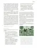 Miniatura página 74 de Modalidades de trabajo para la acción transformadora y el codiseño  Libro de Educación Preescolar Grado 1°, 2°, 3°  Ciclo Escolar 2025 - 2026