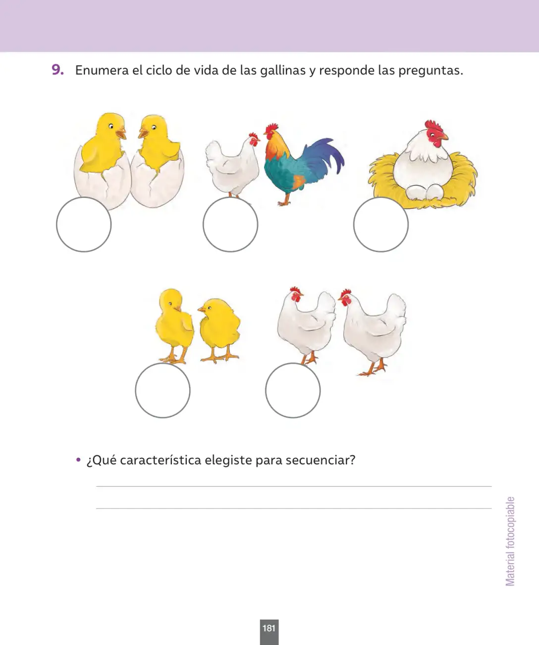 Página 182