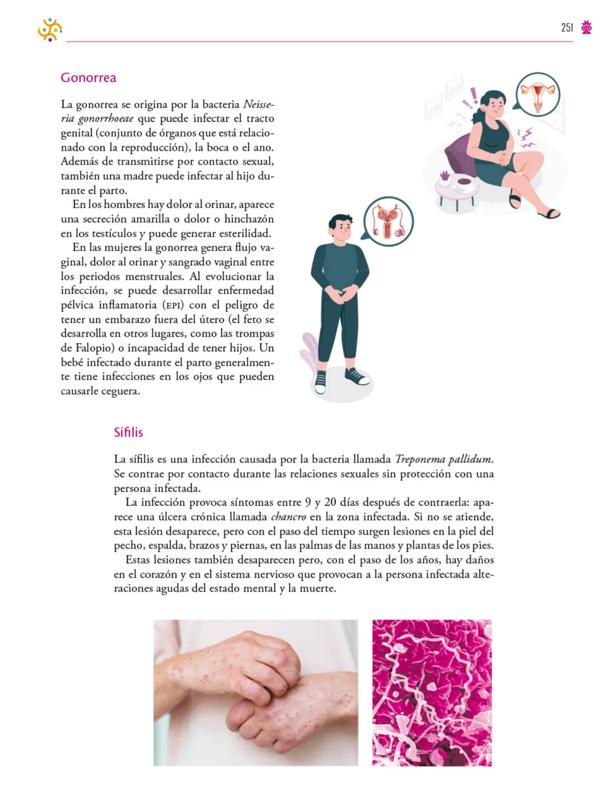 Página 252 de Colección Ximhai. Saberes y pensamiento científico. Libro de Educación Secundaria Grado 1° Ciclo Escolar 2025 - 2026