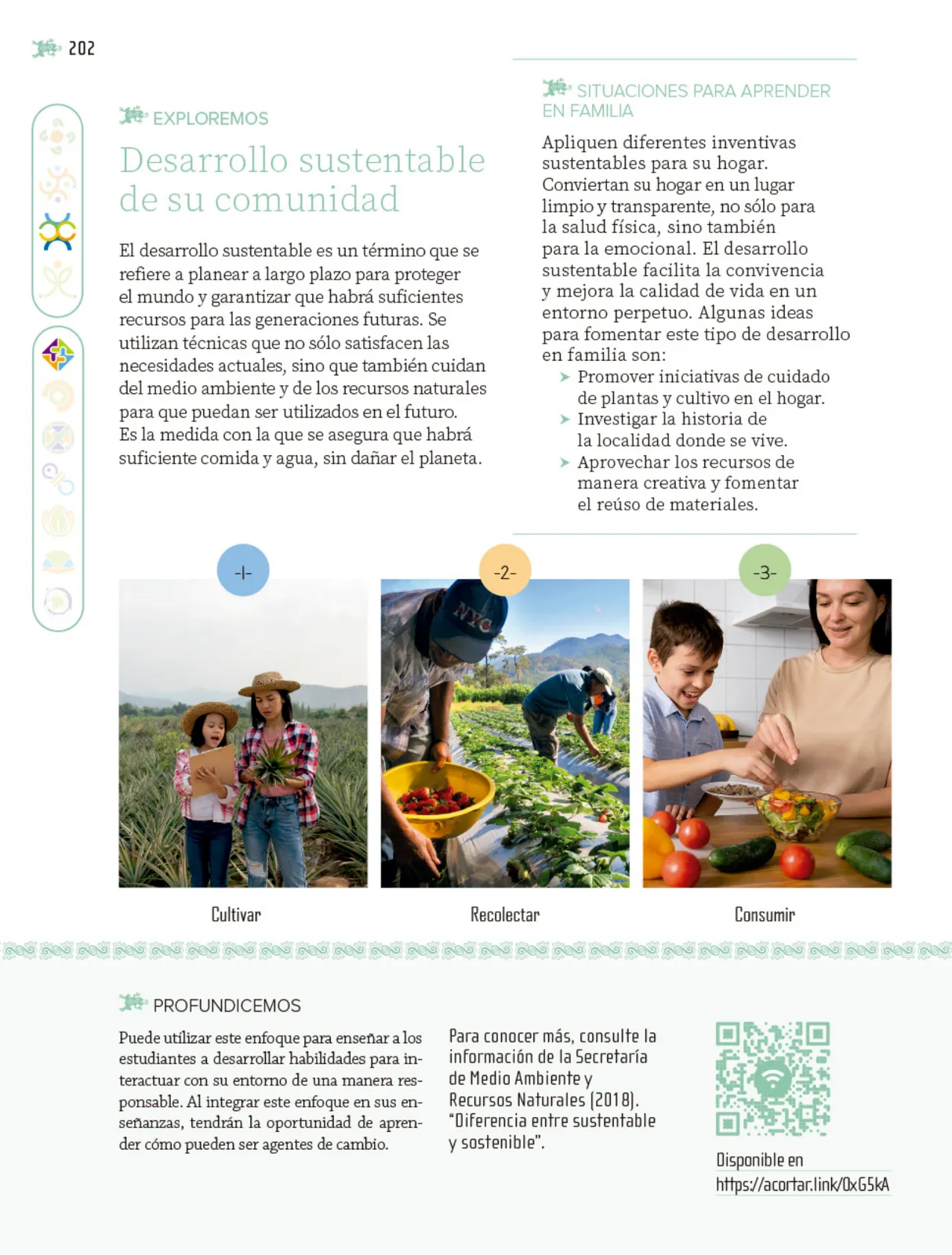 Página 203 de Nuestros saberes: Libro para alumnos, maestros y familia. Libro de Educación Primaria Grado 5° Ciclo Escolar 2025 - 2026