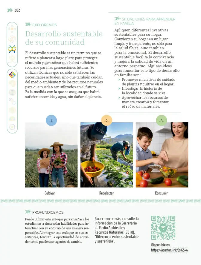 Página 203 de Nuestros saberes: Libro para alumnos, maestros y familia. Libro de Educación Primaria Grado 5° Ciclo Escolar 2025 - 2026