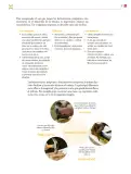 Miniatura página 38 de Colección Sk´asolil. De lo humano y lo comunitario.   Libro de Educación Secundaria Grado 2°  Ciclo Escolar 2025 - 2026