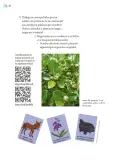 Miniatura página 99 de Proyectos de Aula.   Libro de Educación Primaria Grado 5°  Ciclo Escolar 2025 - 2026