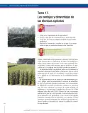 Miniatura página 144 de Ciencias Sociales 6° · Secundaria Activa