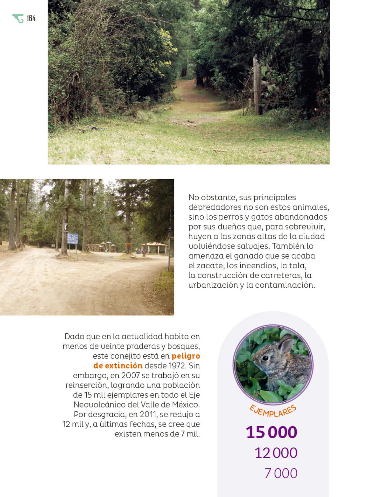 Página 165 de Múltiples lenguajes. Libro de Educación Primaria Grado 6° Ciclo Escolar 2025 - 2026