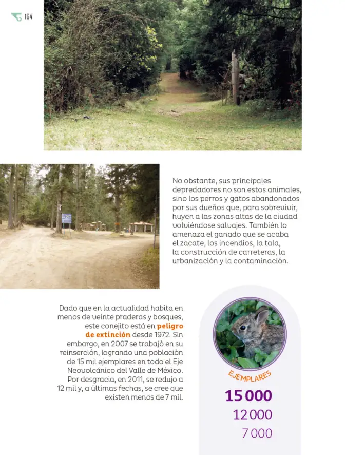 Página 165 de Múltiples lenguajes. Libro de Educación Primaria Grado 6° Ciclo Escolar 2025 - 2026