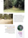 Miniatura página 165 de Múltiples lenguajes.   Libro de Educación Primaria Grado 6°  Ciclo Escolar 2025 - 2026