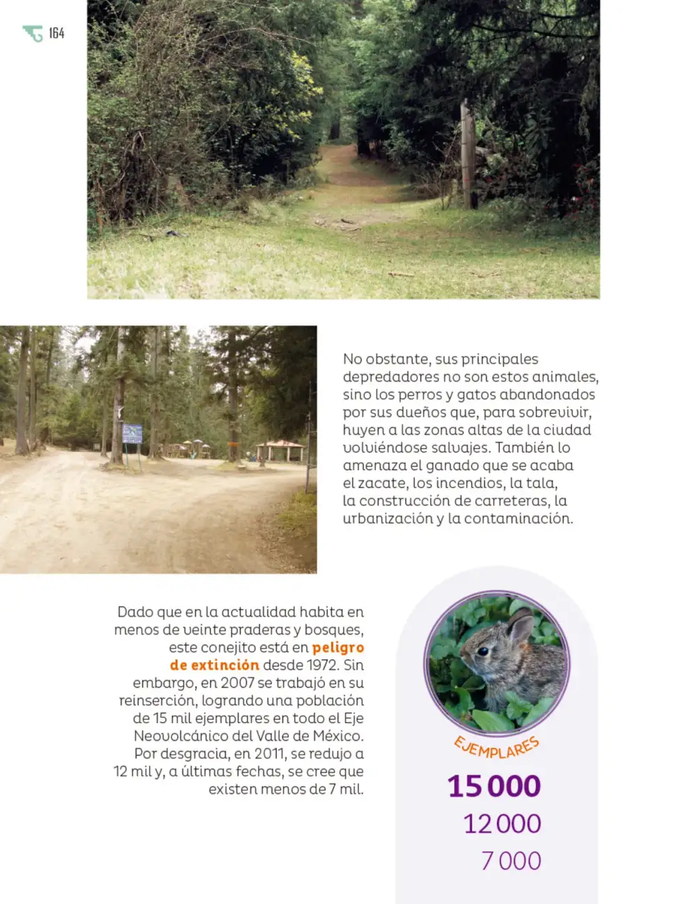 Página 165