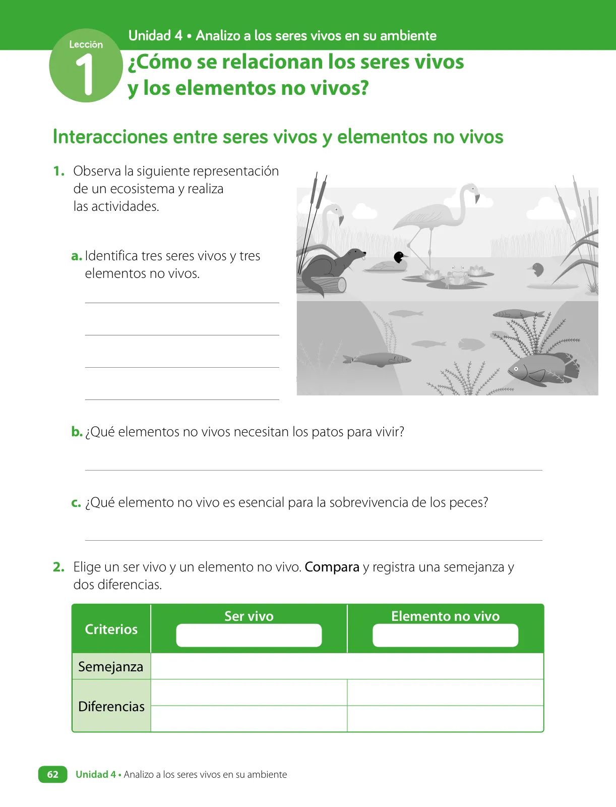 Página 64 de Ciencias Naturales – Cuarto Básico | Texto del Estudiante MINEDUC – Descargar PDF · 2024