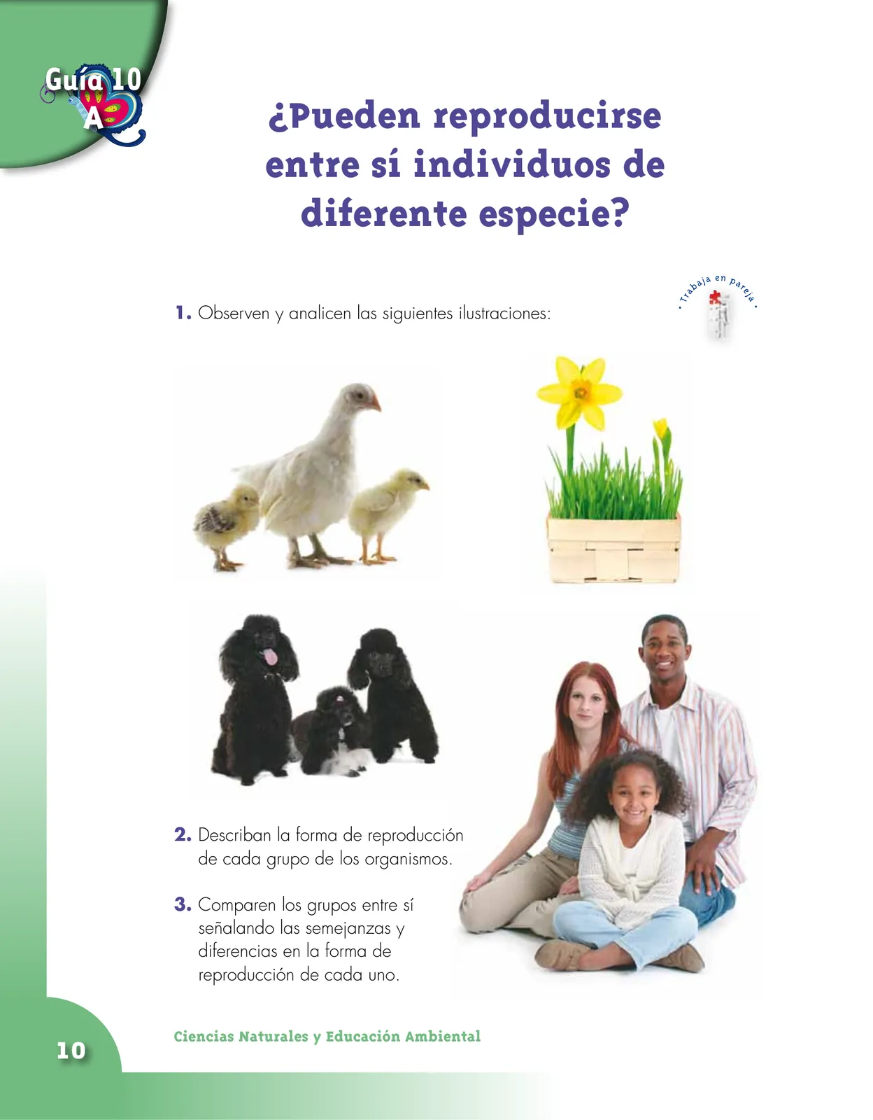Miniatura página 10 de Ciencias Naturales 4° · Cartilla 02