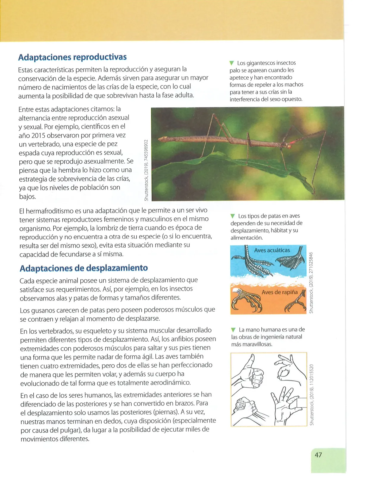 Miniatura página 46 de Ciencias Naturales · 7 EGB · 2024