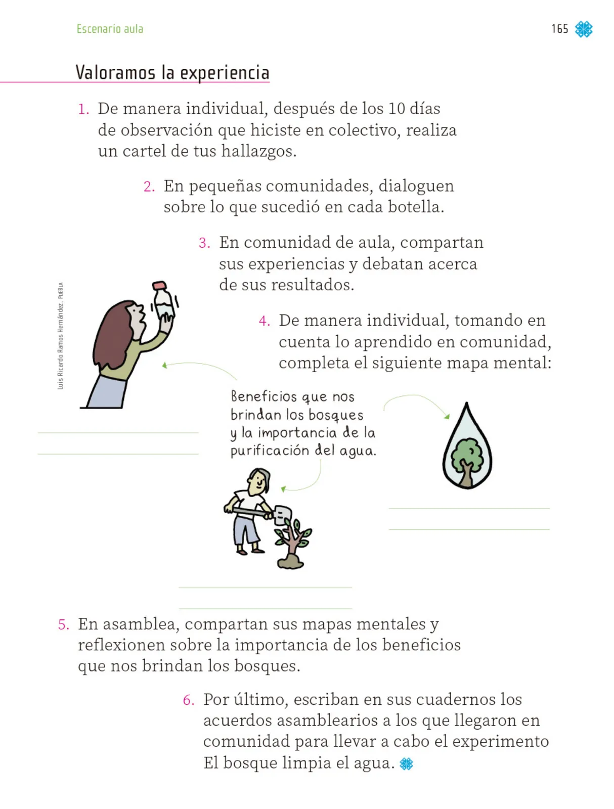Página 166 de Proyectos de Aula. Libro de Educación Primaria Grado 1° Ciclo Escolar 2025 - 2026