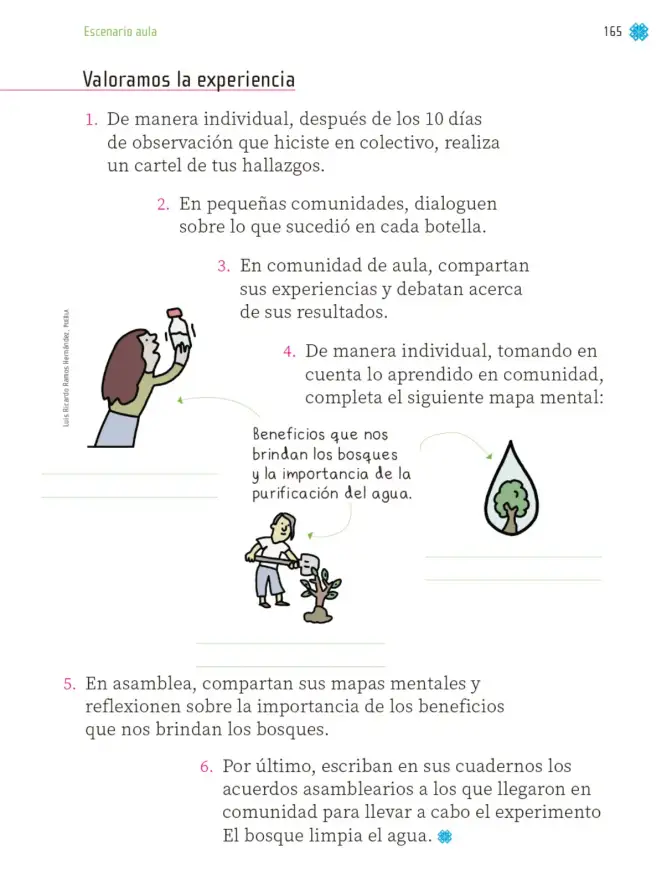 Página 166 de Proyectos de Aula. Libro de Educación Primaria Grado 1° Ciclo Escolar 2025 - 2026