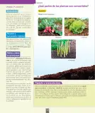 Miniatura página 149 de Ciencias Naturales – Primero Básico | Texto del Estudiante (MINEDUC) – Descargar PDF · 2024