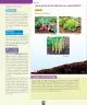 Miniatura página 149 de Ciencias Naturales – Primero Básico | Texto del Estudiante (MINEDUC) – Descargar PDF · 2024