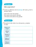 Miniatura página 26 de Lenguaje y Comunicación – Segundo Básico – Texto del Estudiante MINEDUC – Descargar PDF · 2024