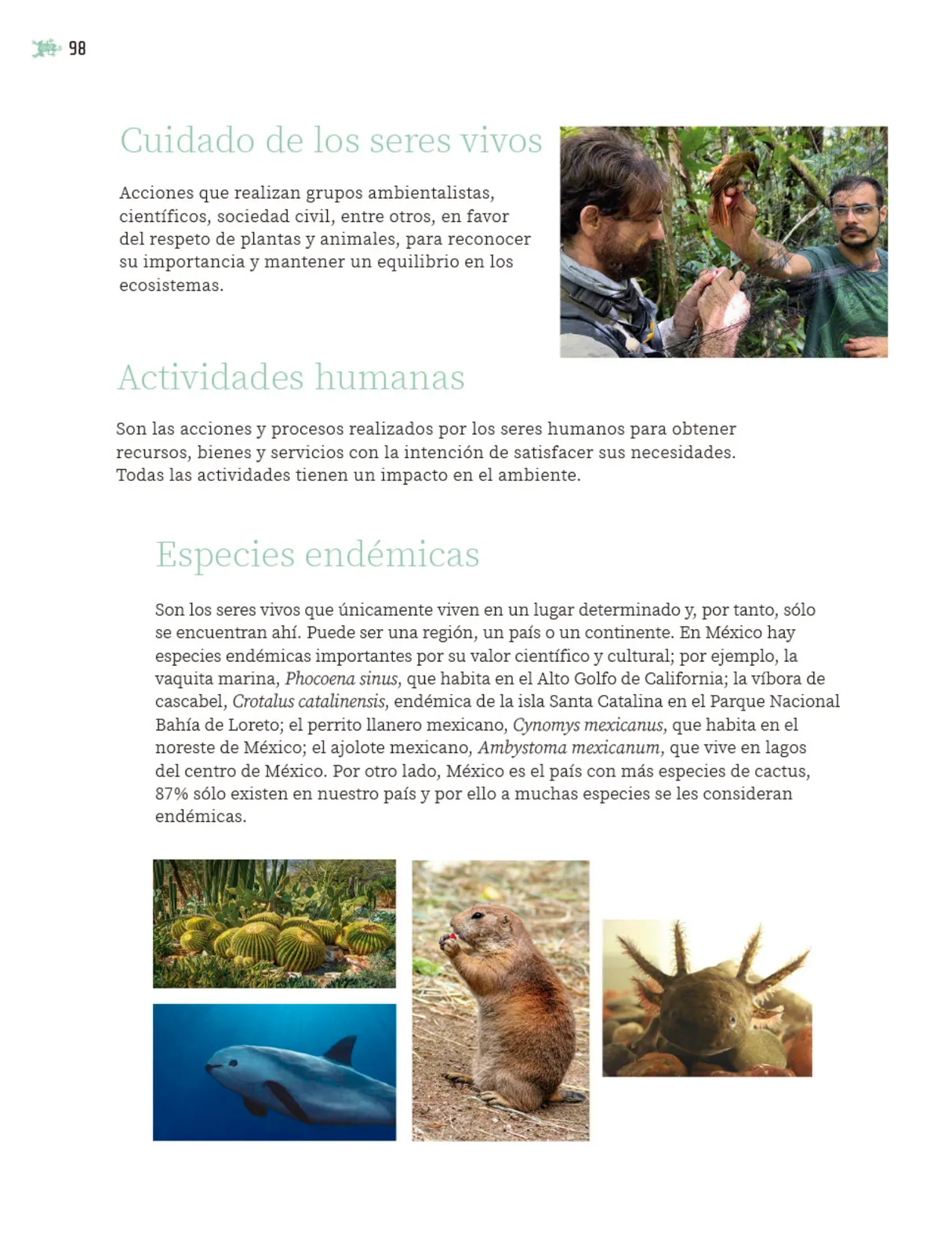 Página 99 de Nuestros saberes: Libro para alumnos, maestros y familia. Libro de Educación Primaria Grado 5° Ciclo Escolar 2025 - 2026