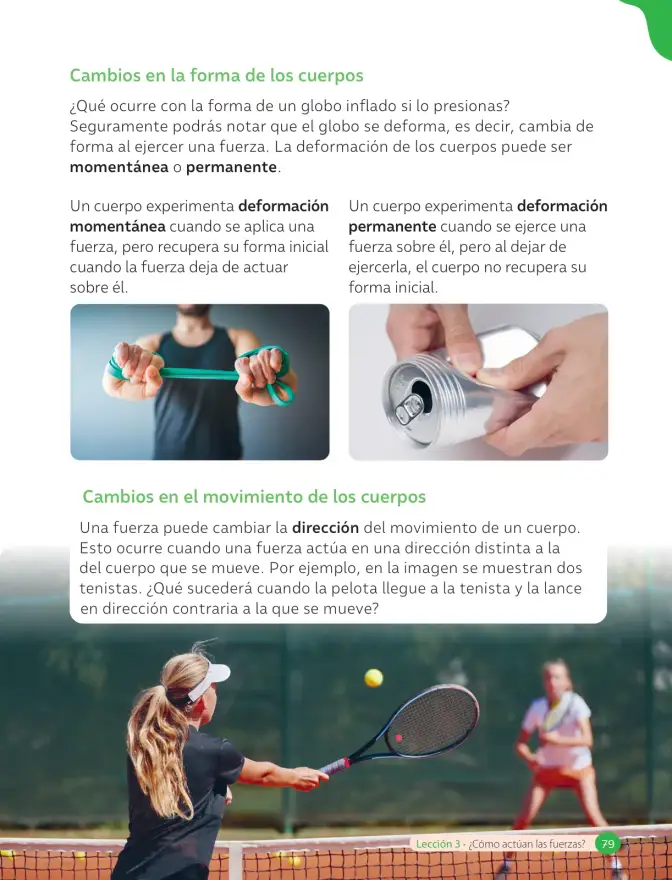 Página 81 de Ciencias Naturales – Cuarto Básico | Texto del Estudiante MINEDUC – Descargar PDF · 2024