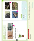 Miniatura página 112 de Ciencias Naturales – Primero Básico | Texto del Estudiante (MINEDUC) – Descargar PDF · 2024