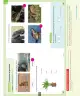 Miniatura página 112 de Ciencias Naturales – Primero Básico | Texto del Estudiante (MINEDUC) – Descargar PDF · 2024