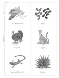 Miniatura página 86 de Múltiples lenguajes. Trazos y palabras.   Libro de Educación Primaria Grado 2°  Ciclo Escolar 2025 - 2026