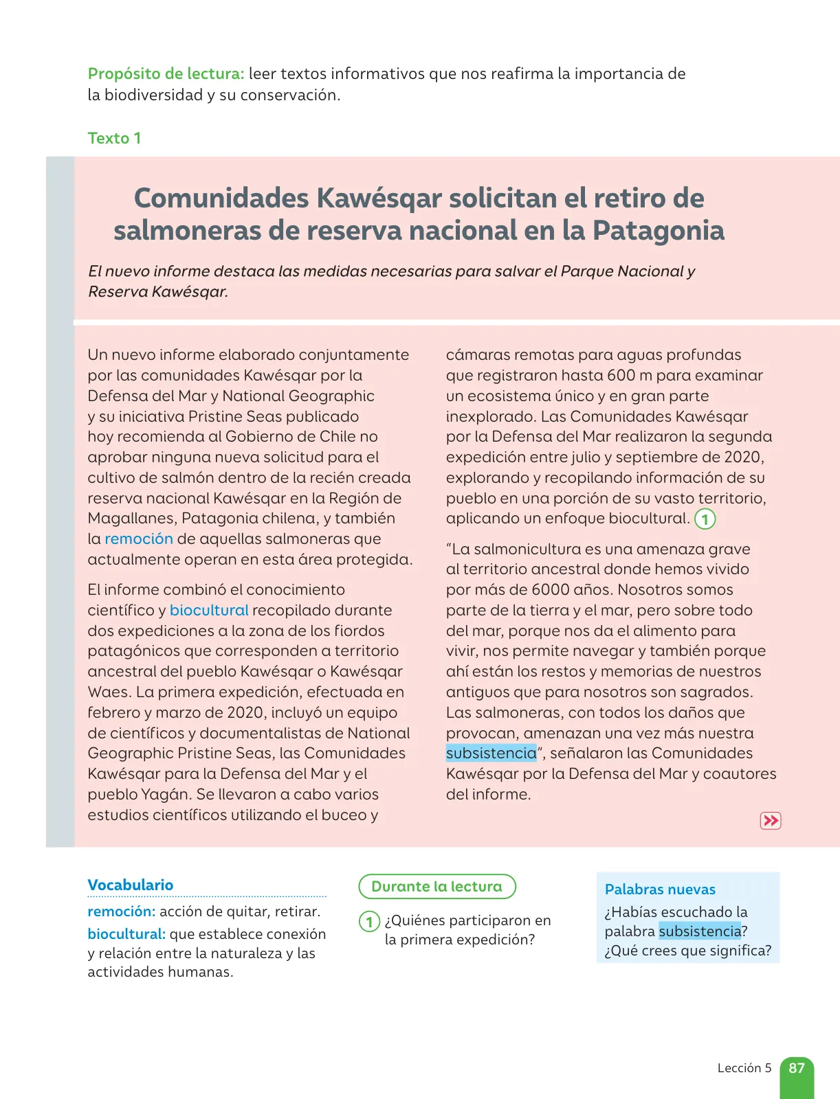 Miniatura página 89 de Lenguaje y Comunicación – Sexto Básico | Texto del Estudiante MINEDUC – Descargar PDF · 2024