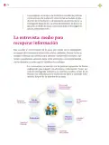 Miniatura página 175 de Colección Ximhai. Lenguajes.   Libro de Educación Secundaria Grado 1°  Ciclo Escolar 2025 - 2026
