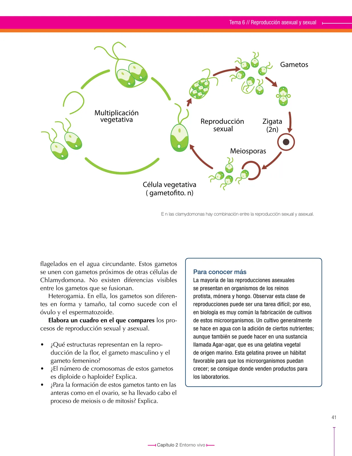 Página 41 de Ciencias Naturales 8° · Secundaria Activa