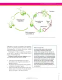 Miniatura página 41 de Ciencias Naturales 8° · Secundaria Activa