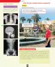 Miniatura página 19 de Ciencias Naturales – Segundo Básico | Texto del Estudiante MINEDUC – Descargar PDF · 2024