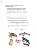 Miniatura página 113 de Proyectos Comunitarios.   Libro de Educación Primaria Grado 6°  Ciclo Escolar 2025 - 2026