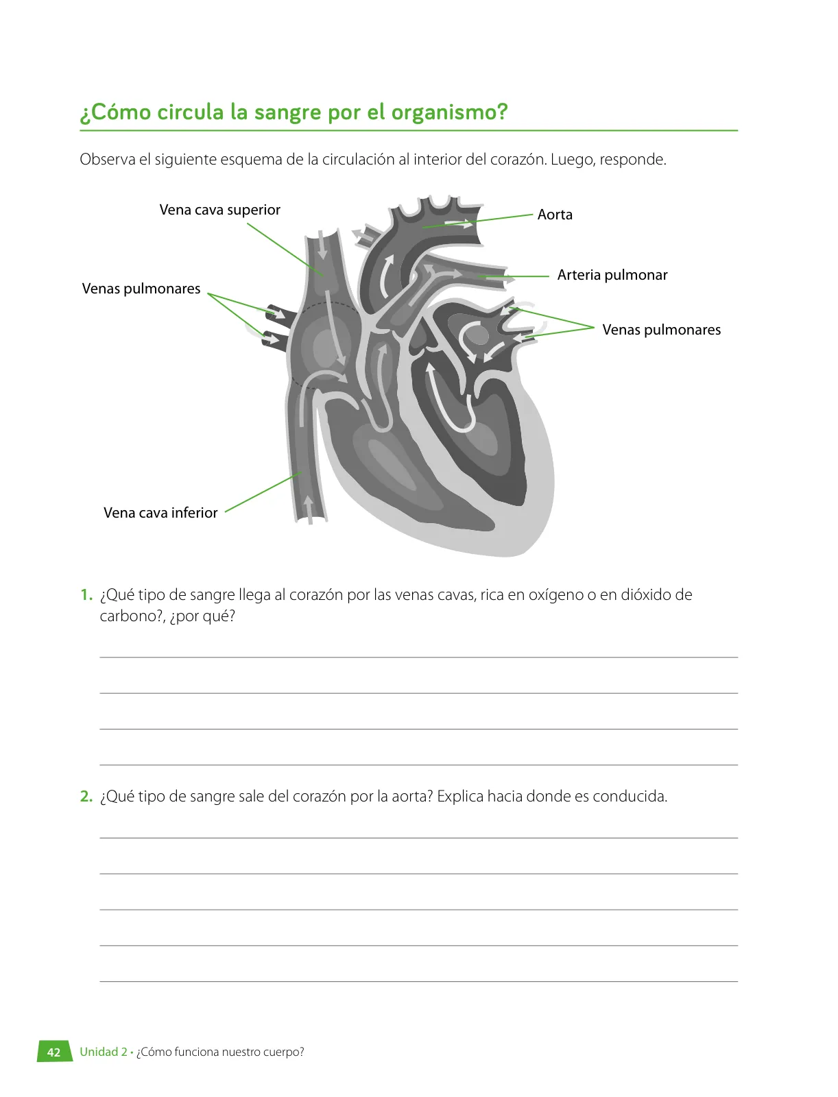 Página 43 de Libro de Ciencias Naturales – Quinto Básico | Texto del Estudiante MINEDUC – Descargar PDF · 2024
