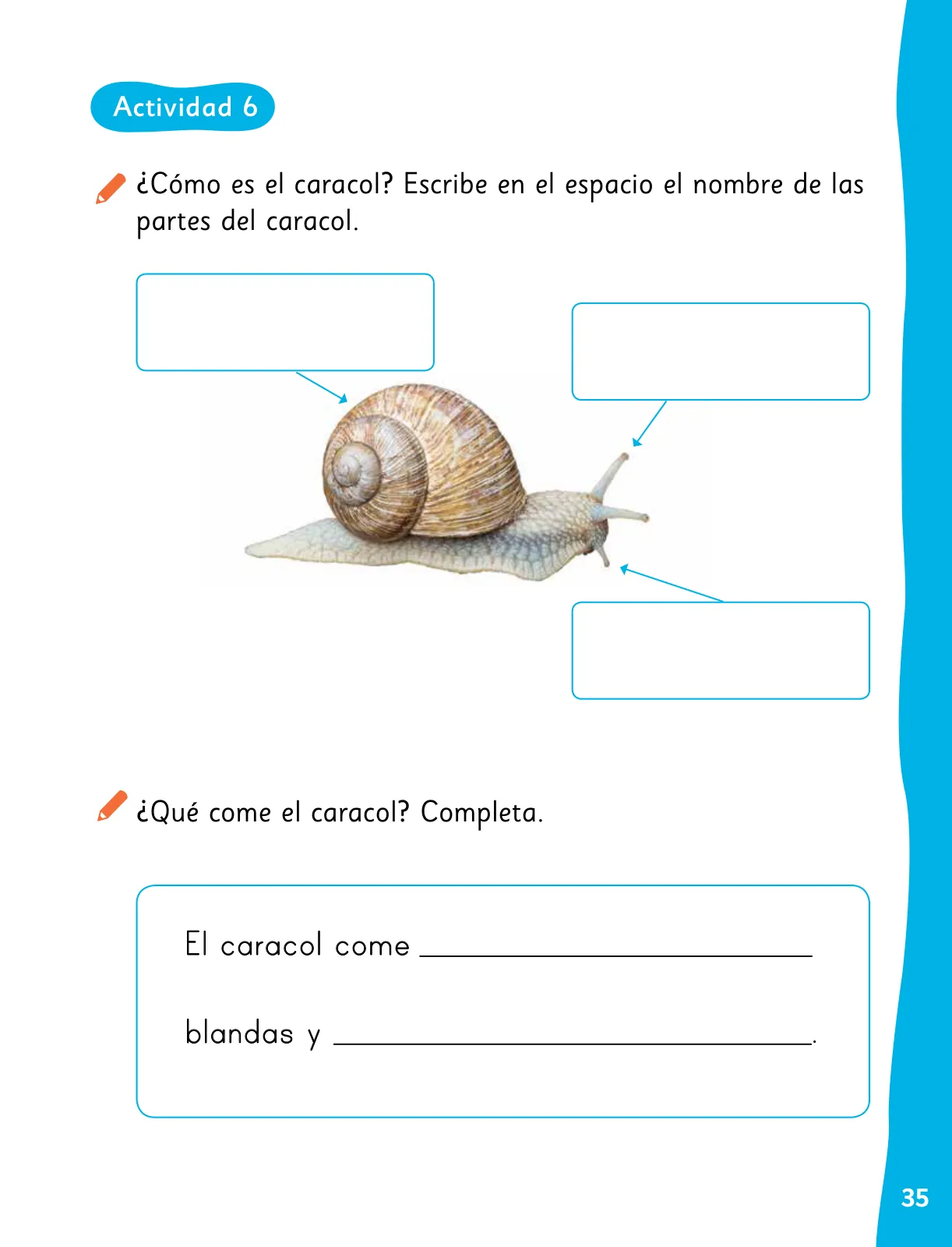 Página 38 de Lenguaje y Comunicación – Primero Básico | Texto del Estudiante MINEDUC – Descargar PDF · 2024