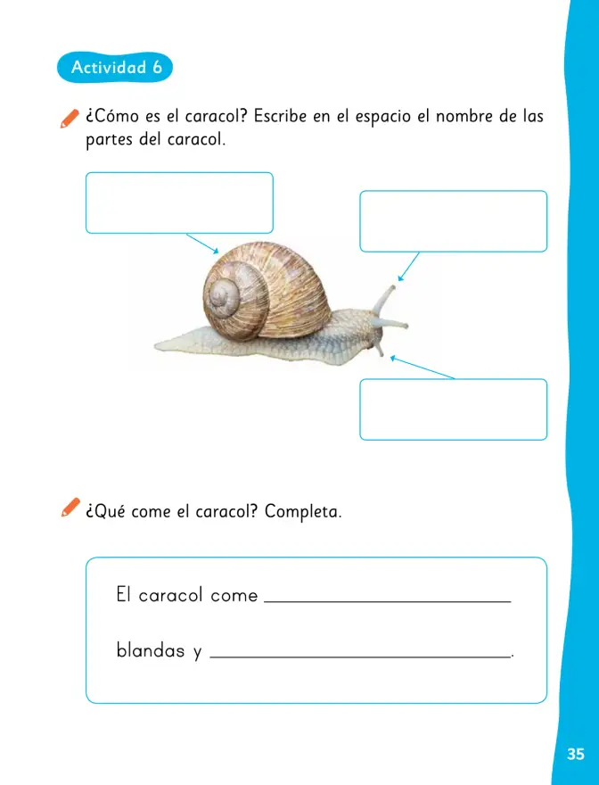 Página 38 de Lenguaje y Comunicación – Primero Básico | Texto del Estudiante MINEDUC – Descargar PDF · 2024