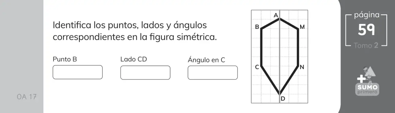 Página 131