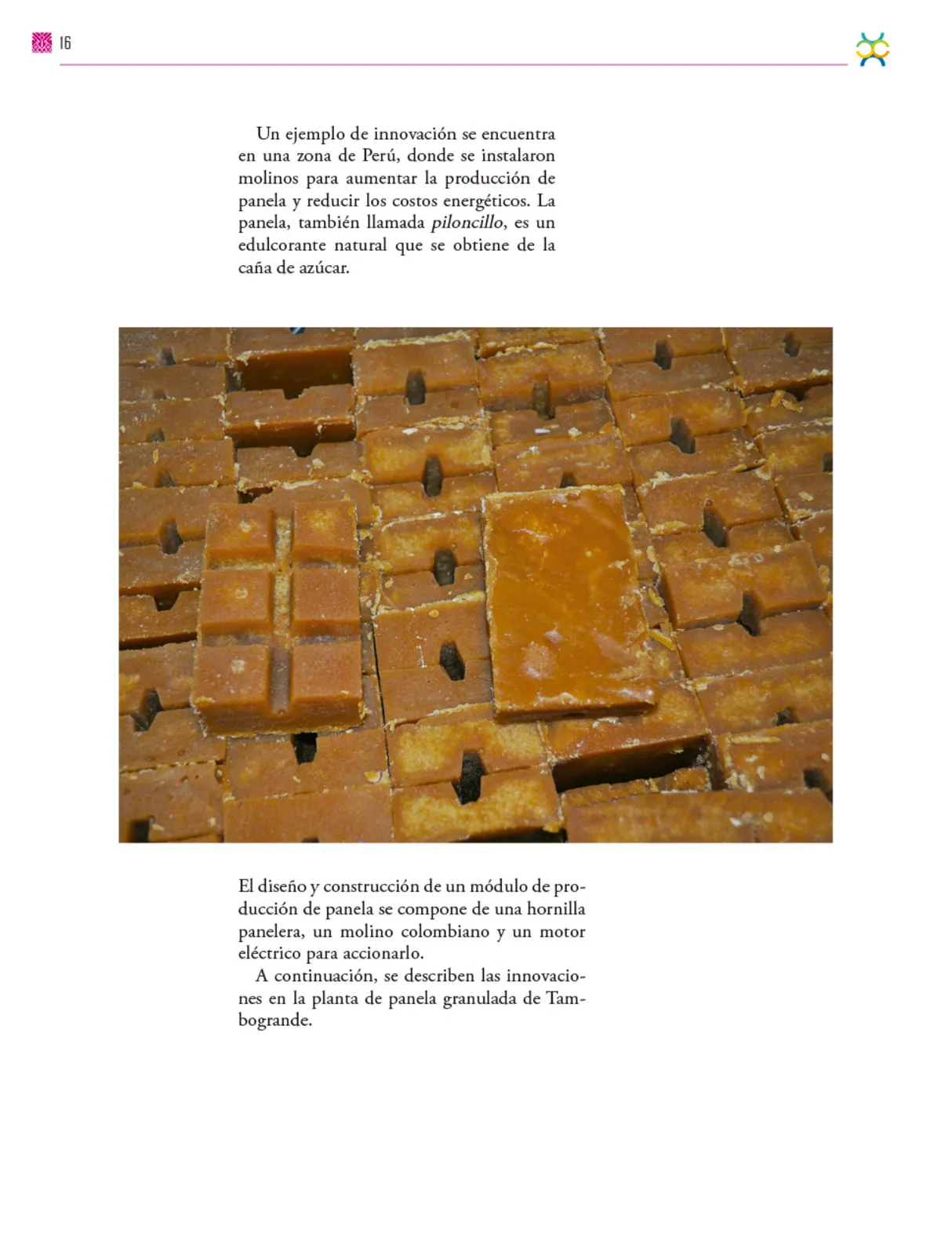 Miniatura página 17 de Colección Ximhai. De lo humano y lo comunitario.   Libro de Educación Secundaria Grado 1°  Ciclo Escolar 2025 - 2026