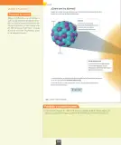 Miniatura página 105 de Ciencias Naturales – Octavo Básico | Texto del Estudiante MINEDUC – Descargar PDF · 2024