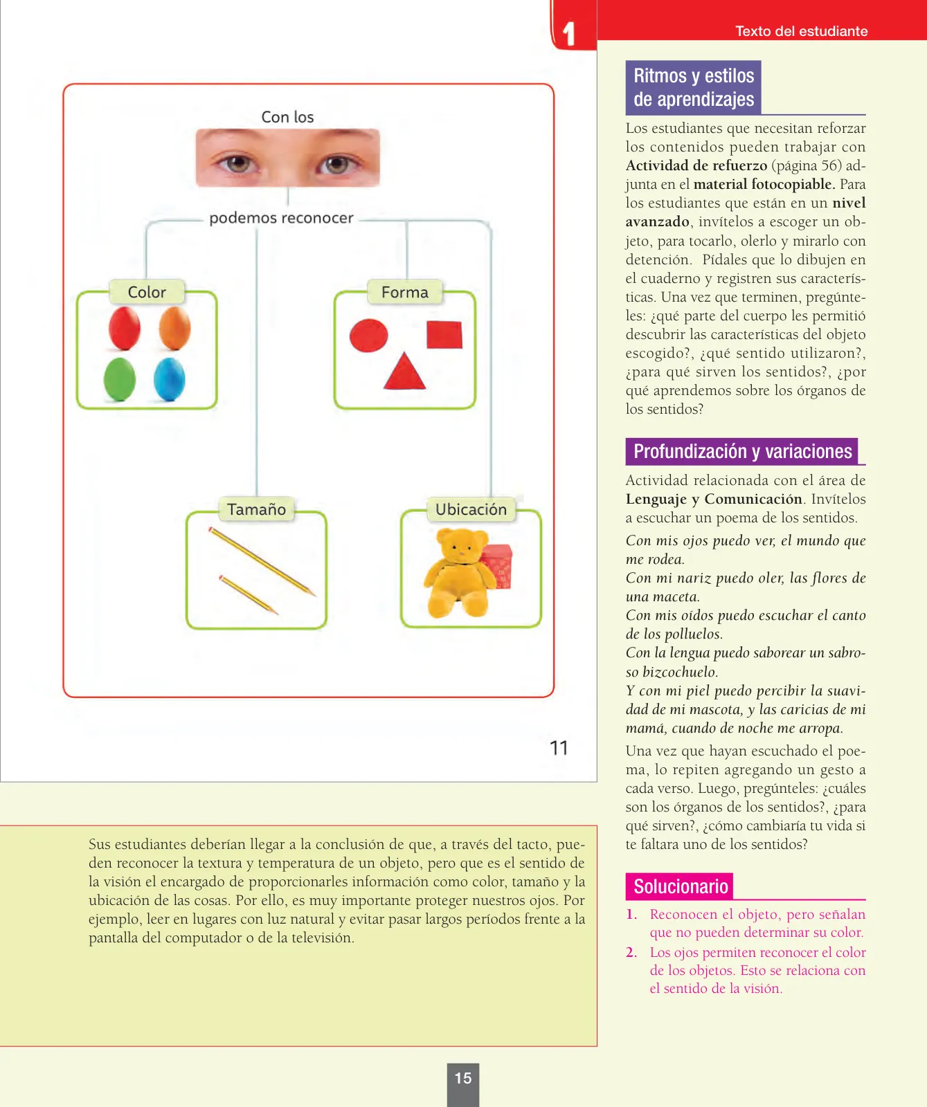 Miniatura página 16 de Ciencias Naturales – Primero Básico | Texto del Estudiante (MINEDUC) – Descargar PDF · 2024