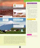 Miniatura página 116 de Ciencias Naturales – Séptimo Básico | Texto del Estudiante MINEDUC – Descargar PDF · 2024