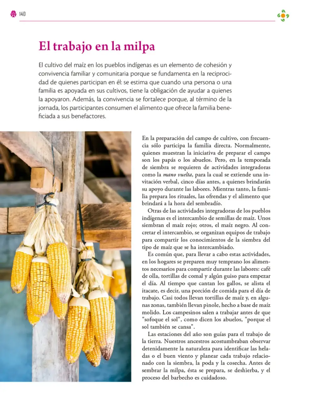 Página 141