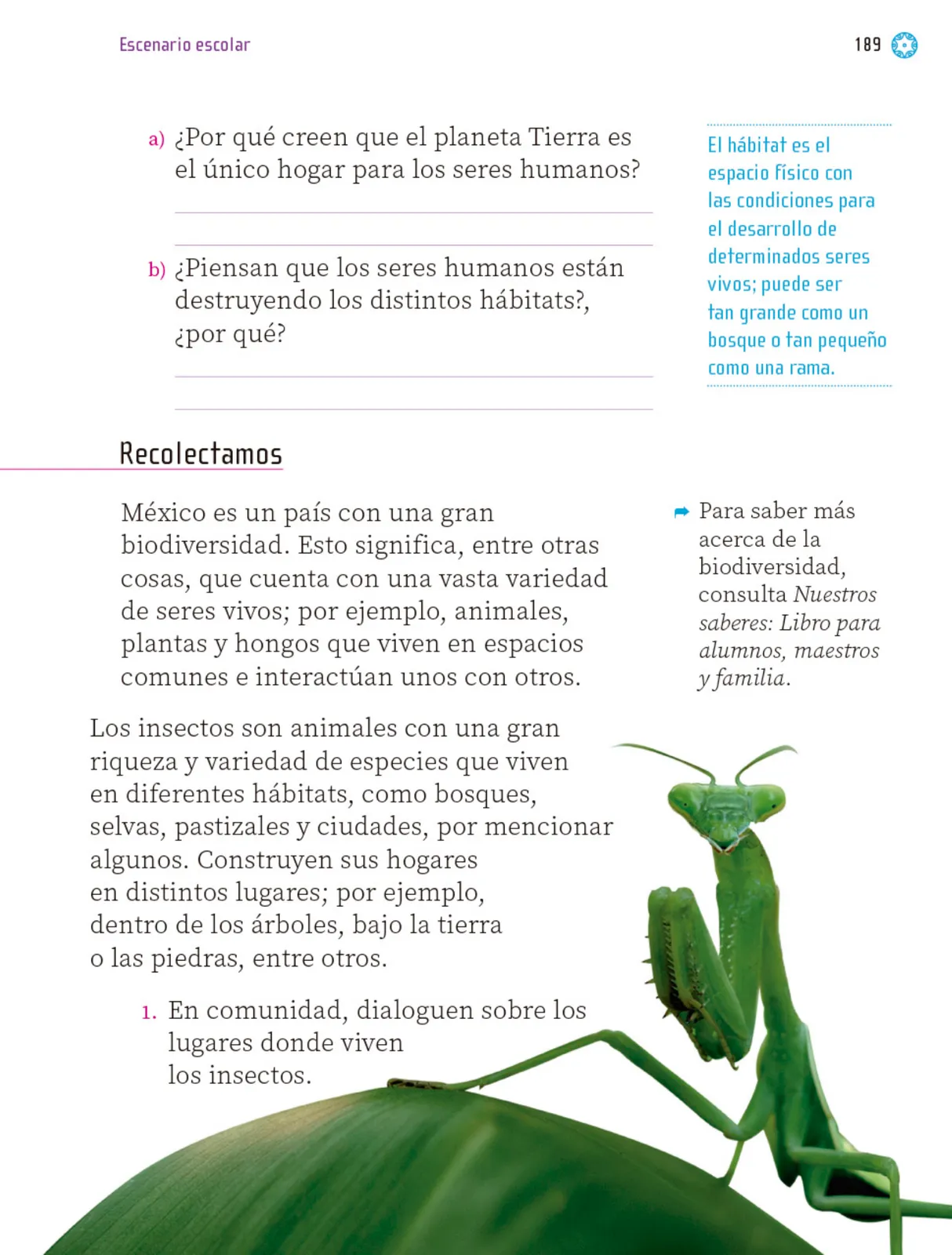 Miniatura página 190 de Proyectos Escolares.   Libro de Educación Primaria Grado 1°  Ciclo Escolar 2025 - 2026