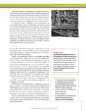 Miniatura página 211 de Ciencias Sociales 6° · Secundaria Activa