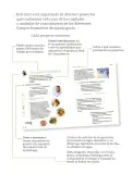 Miniatura página 6 de Proyectos de Aula.   Libro de Educación Primaria Grado 5°  Ciclo Escolar 2025 - 2026