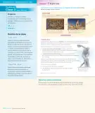 Miniatura página 142 de Lengua y Literatura – Octavo Básico | Texto del Estudiante MINEDUC – Descargar PDF · 2024