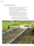Miniatura página 175 de Proyectos Comunitarios.   Libro de Educación Primaria Grado 3°  Ciclo Escolar 2025 - 2026